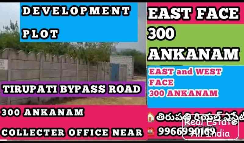 300 ANKANAMS LAND DEVELOPMENT East and West Both Sides Road 40 Feet Road - PS0059